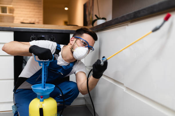 Trusted Loveland Park, OH Pest Control Experts