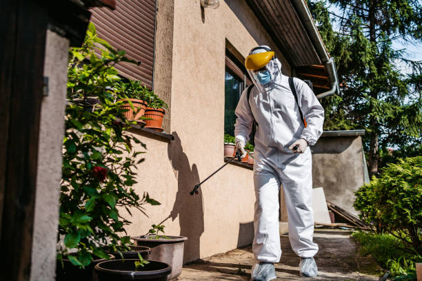 Best Pest Prevention Services  in Loveland Park, OH