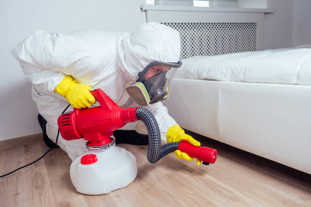 Best Pest Removal Services  in Loveland Park, OH