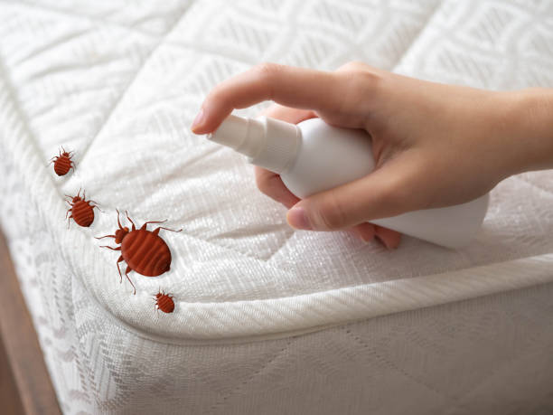 Best Local Pest Control Services  in Loveland Park, OH